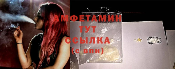 мдпв Михайлов