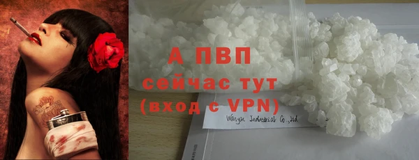 мдпв Михайлов