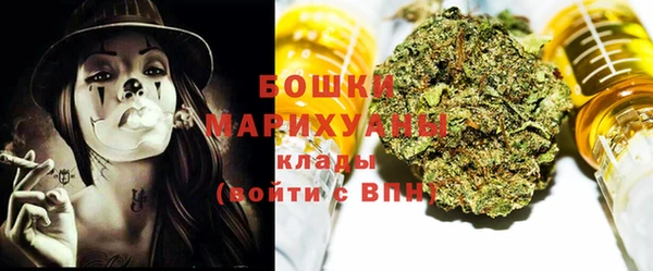 мдпв Михайлов