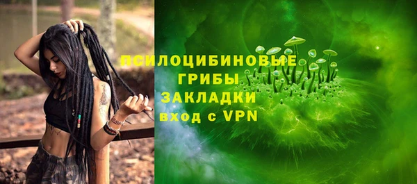 экстази Бикин