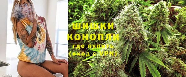 мдпв Михайлов