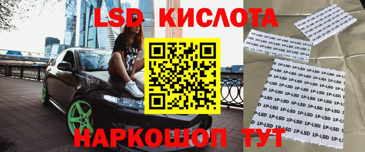 Галлюциногенные грибы Ефремов