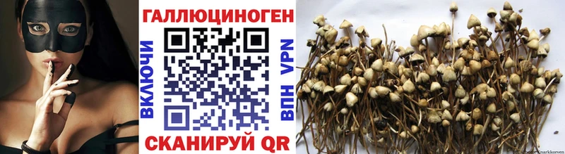 блэк спрут   Ефремов  Галлюциногенные грибы MAGIC MUSHROOMS 