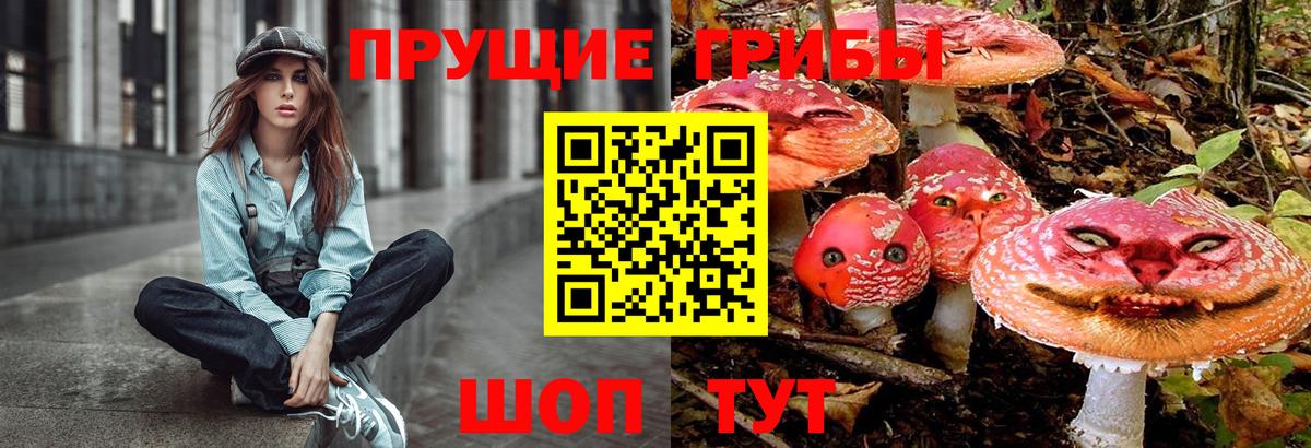 сколько стоит  Вход с VPN  Ефремов  Галлюциногенные грибы MAGIC MUSHROOMS  Псилоцибиновые грибы Magic Shrooms 