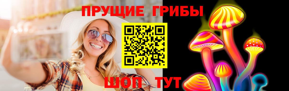 как найти закладки  Ефремов  Галлюциногенные грибы Psilocybine cubensis 