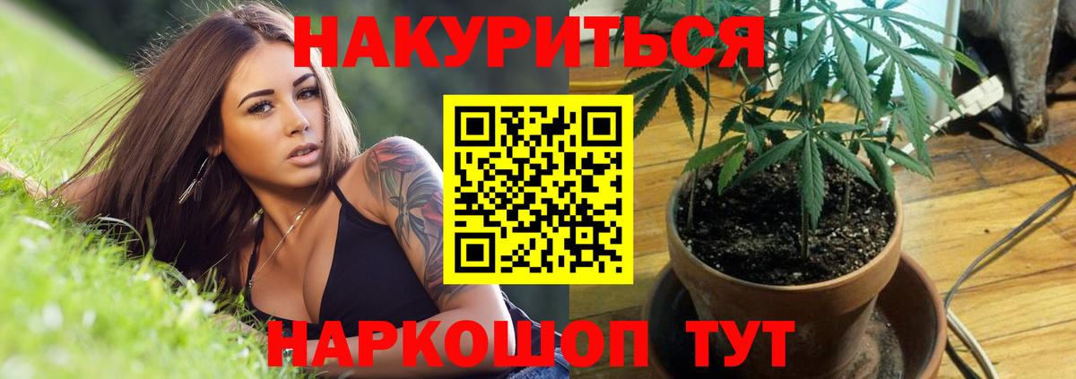 МАРИХУАНА марихуана  Конопля семена  Бошки Шишки план  Бошки Шишки White Widow  Ефремов 